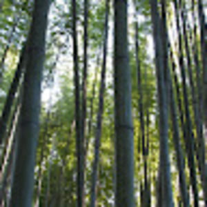 Meet your Posher, Keri